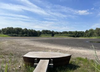 Akuter Wassermangel: Würmsee in der Region Hannover fast ausgetrocknet Akuter Wassermangel im Würmsee