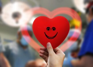 MHH informiert über Organspende Grafik Herz - Organtransplantation