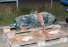 Kampfmittelbeseitigung Hannover Brink-Hafen - 15.09.2022