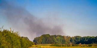 Waldbrand im Hämelerwald