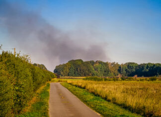 Waldbrand im Hämelerwald Waldbrand im Hämelerwald
