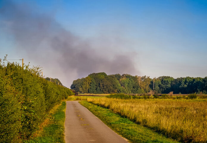 Waldbrand im Hämelerwald