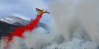 Löschflugzeug im Einsatz