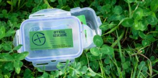Dose Geocaching