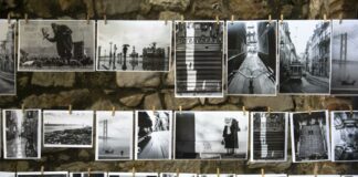 Fotos - Ausstellung