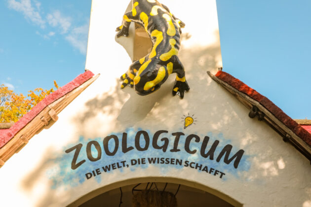 Erlebnis-Zoo Hannover ruft neuen Artenschutz-Preis „ZAP!“ aus