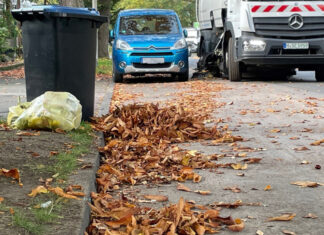 Beim städtischen Herbstputz fallen etliche Kubikmeter Laub an Laub in der Gosse - Amtsweg