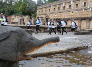 Nachtlauf durch den Erlebnis-Zoo Strecke durch den Dschungelpalast