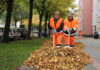 Herbstzeit ist Laubzeit