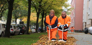 Herbstzeit ist Laubzeit