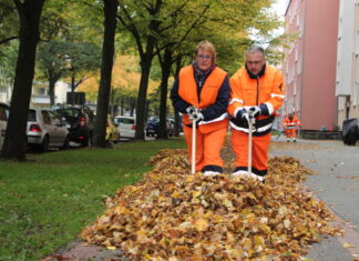 Herbstzeit in Hannover: aha sammelt 3.500 Tonnen Laub für saubere und sichere Straßen Herbstzeit ist Laubzeit