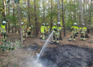 Anwohner bemerken Rauchentwicklung und alarmieren die Feuerwehr Feuerwehreinsatz