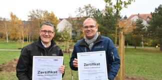 40 neue Bäume für den Vahrenwalder Park