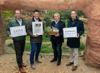 Sophienklinik übernimmt Patenschaft für Berberlöwin Zara-Sophie im Erlebnis-Zoo Hannover Übergabe der Patenschftsurkunde für Berberlöwin Zara Sophie