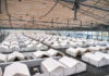 Flüchtlingsunterkunft in der Messehalle 9