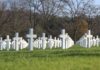 Symbolbild - Militärfriedhof - Kriegsopfer
