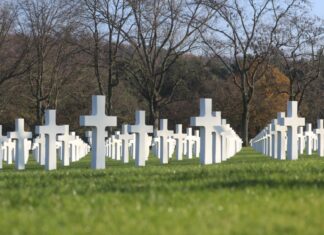 Gedenkveranstaltungen zum Volkstrauertag am 17. November Symbolbild - Militärfriedhof - Kriegsopfer
