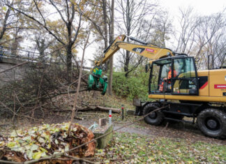 Ersatzneubau der zentralen Verkehrsader Südschnellweg in Hannover hat begonnen Rodung Südschnellweg