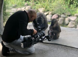 Zweite Staffel der beliebten Fernsehserie aus dem Erlebnis-Zoo Hannover startet Montag Seelöwe und Co. Dreharbeiten Erlebnis-Zoo Hannover