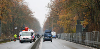 Rodung Südschnellweg