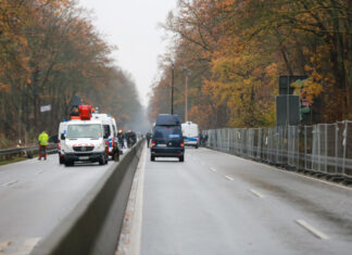 Polizei sichert zweiten Tag in Folge Rodungen in der Leinemasch in Hannover ab Rodung Südschnellweg