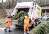 Weihnachtsbaumverwertung - aha
