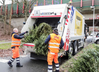 aha holt Weihnachtsbäume ab Weihnachtsbaumverwertung - aha