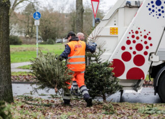 Wohin mit dem Weihnachtsbaum? Müllabfuhr holt Weihnachtsbäume ab! Weihnachtsbaumverwertung - aha