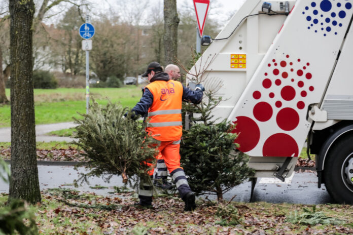 Weihnachtsbaumverwertung - aha