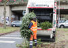Weihnachtsbaumverwertung - aha