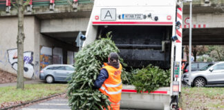 Weihnachtsbaumverwertung - aha