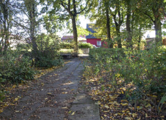 „Freischnitt“ für einen neuen Platz am Süntelweg Die Eichen auf der südlichen Seite werden im unteren Teil freigeschnitten, um auf dem Park eine hellere Atmosphäre zu schaffen.