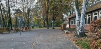 In Vorbereitung der Erweiterung der IGS SÜD werden auf dem Schulgelände in den nächsten zwei Wochen an verschiedenen Stelle Bäume gerodet – so auch jene vor dem eingeschossigen Gebäude im hinteren Teil.