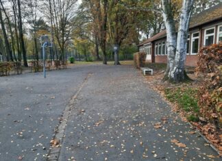 Langenhagen: Stadt bereitet Fläche für die Erweiterung der IGS SÜD vor In Vorbereitung der Erweiterung der IGS SÜD werden auf dem Schulgelände in den nächsten zwei Wochen an verschiedenen Stelle Bäume gerodet – so auch jene vor dem eingeschossigen Gebäude im hinteren Teil.