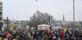 Über 220.000 Teilnehmende bei Klimastreiks in ganz Deutschland