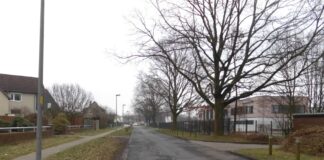 Im Zuge des Ausbaus wird der Stadtweg verbreitert; zudem erhält er einen durchgängigen Gehweg sowie ein Entwässerungssystem.