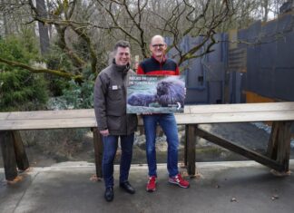 Das neue Reich der Ursons und die fantasievolle Feuerwache Zoo-Geschäftsführer Andreas M Casdorff und Zoofreunde-Vorsitzender Christian Wagner stellen die neue Urson-Anlage in Yukon Bay vor