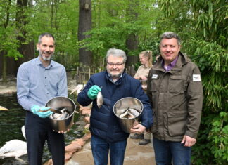 Happy Birthday! Pelikan feiert 185 Jahre mit drei Aktionen 185 Jahre Pelikan