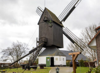 Kaltenweide: MÜHLENFEST 2023 Bockwindmühle Kaltenweide