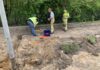 Tierischer Einsatz in Engelbostel. Kornnatter gerettet und ins Tierheim verbracht.