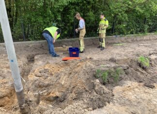 Kornnatter lebte unter Laterne Tierischer Einsatz in Engelbostel. Kornnatter gerettet und ins Tierheim verbracht.