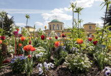 Bund fördert Modernisierung der Bewässerung im Berggarten Hannover Herrenhäuser Gärten / Berggarten