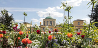 Herrenhäuser Gärten / Berggarten