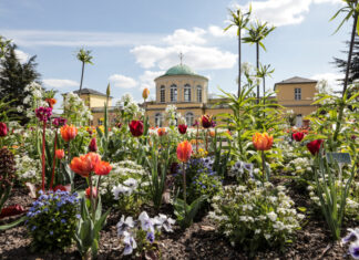 Bund fördert Modernisierung der Bewässerung im Berggarten Hannover Herrenhäuser Gärten / Berggarten