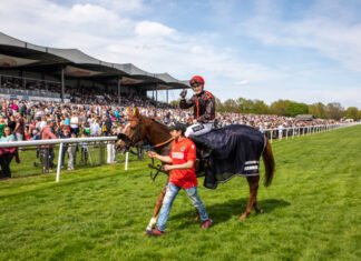 Neue Bult und Hannover 96 in der Champions League Pferderennen - Saisonauftakt Neue Bult
