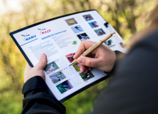 Stunde der Gartenvögel – viele Menschen machen regelmäßig mit Stunde der Gartenvögel