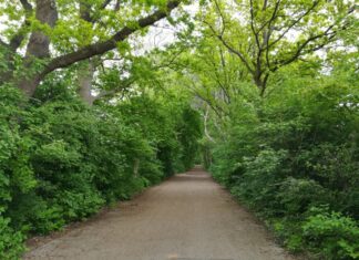 Stadtradeln 2023: die „Hall of Ways“ ist eröffnet Stadtradeln 2023 - "Hall of Ways" eröffnet.