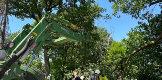 Großer Ast droht abzustürzen - Landwirt unterstützt Feuerwehr Kaltenweide bei Einsatz.