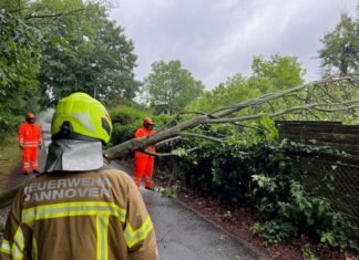 Unwettereinsätze der Feuerwehr Hannover Zwei umgestürzte Bäume erforderten das Eingreifen der Feuerwehr im Stadtteil Groß-Buchholz.