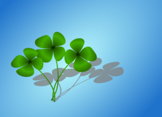 Achtsamkeit und Glück im Alltag Grafik: Kleeblätter / Glück / Achtsamkeit
